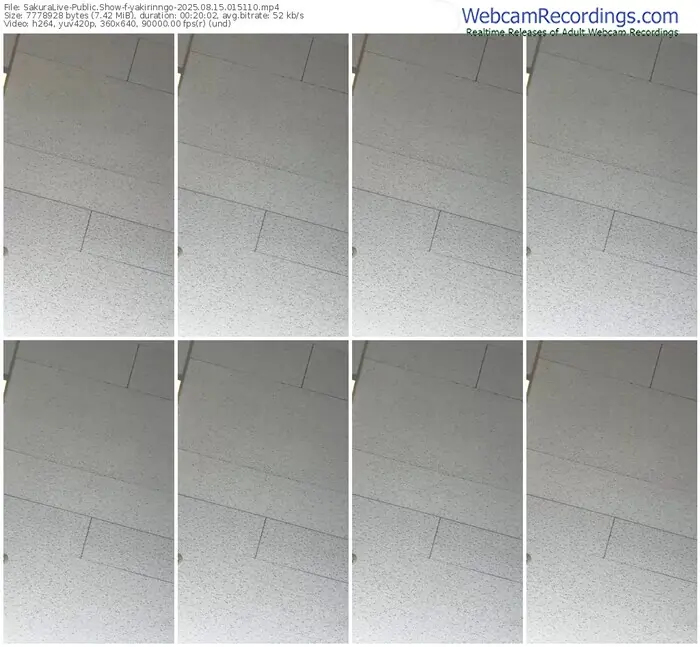 2025/08/15/sakuralivejp-yakirinngo-01-51-10