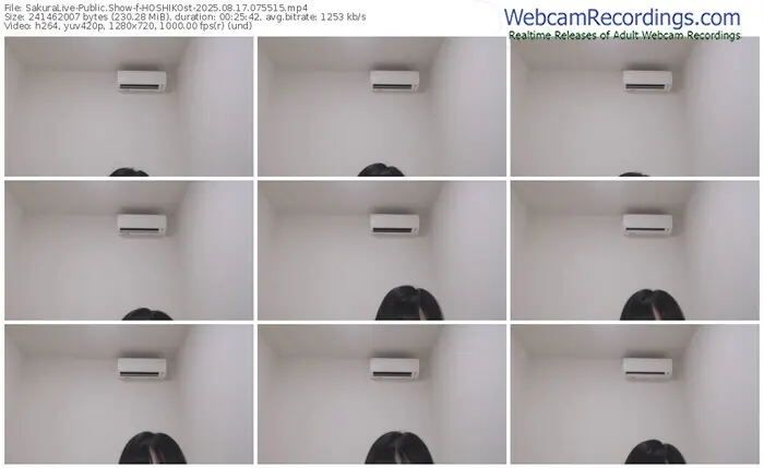 2025/08/17/sakuralivejp-hoshikost-07-55-15