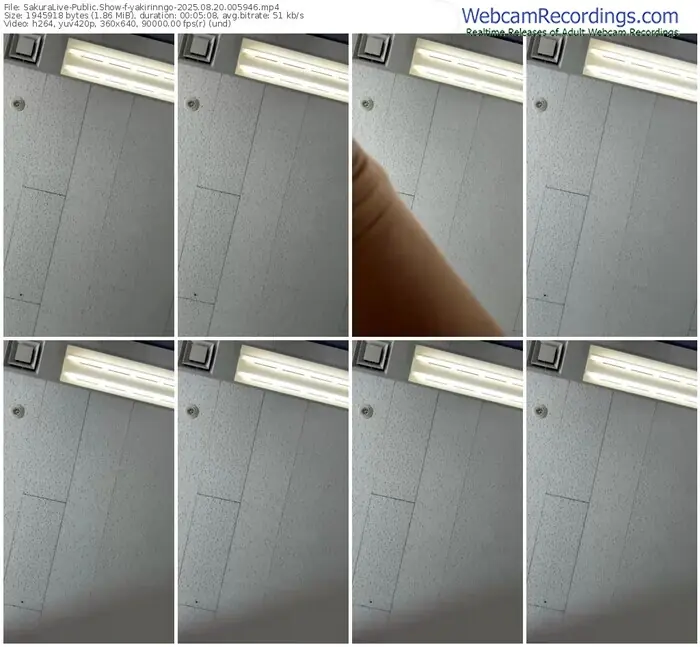 2025/08/20/sakuralivejp-yakirinngo-00-59-46