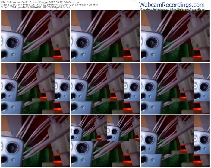 2025/08/22/sakuralivejp-kamye-00-48-41