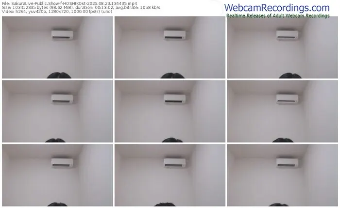 2025/08/23/sakuralivejp-hoshikost-13-44-35