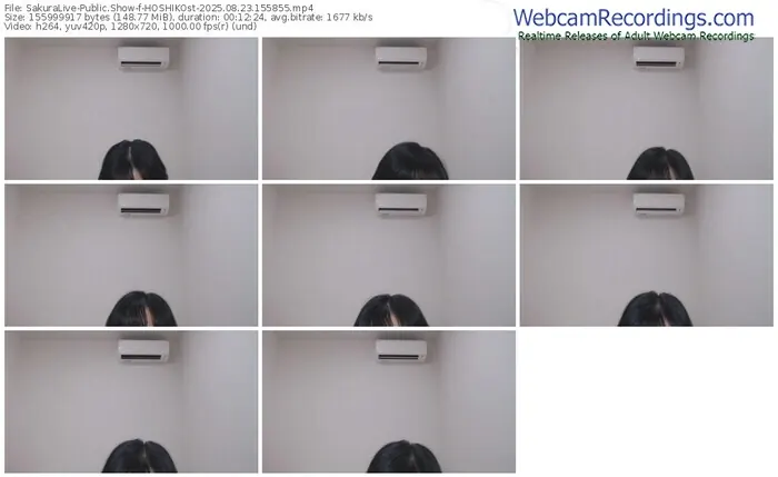 2025/08/23/sakuralivejp-hoshikost-15-58-55