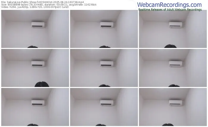 2025/08/24/sakuralivejp-hoshikost-16-37-38