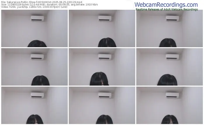 2025/08/25/sakuralivejp-hoshikost-22-01-29