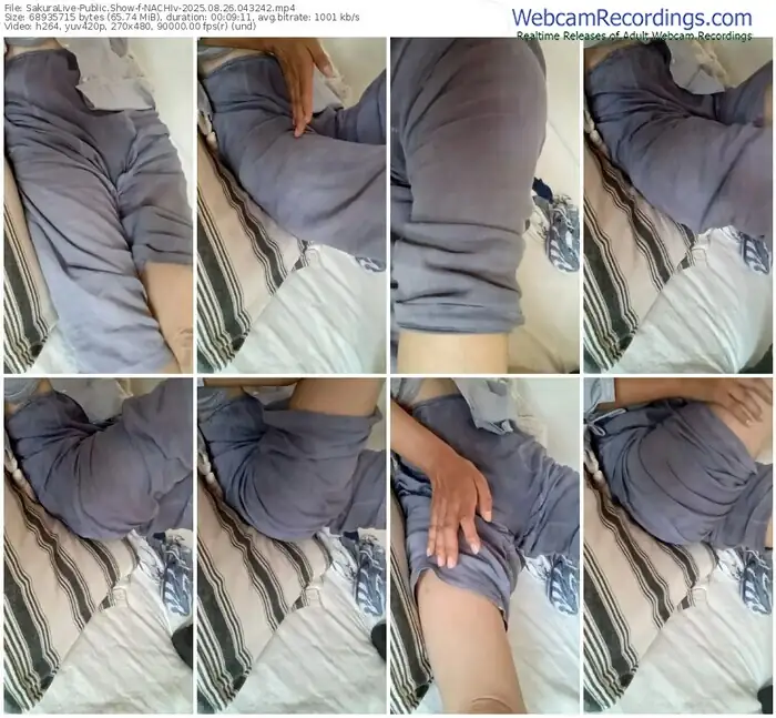 2025/08/26/sakuralivejp-nachiv-04-32-42