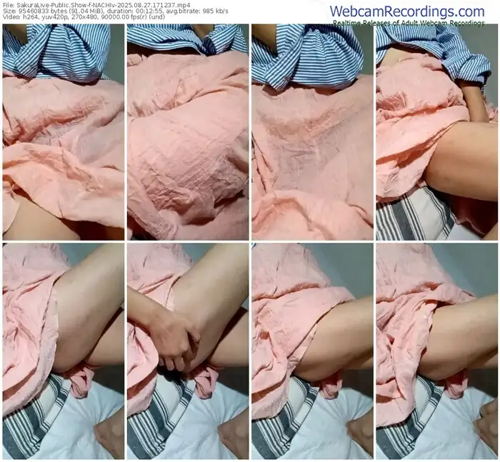 2025/08/27/sakuralivejp-nachiv-17-12-37