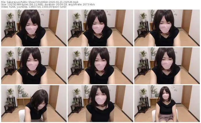 2026/03/23/sakuralivejp-idumikkr-23-25-26