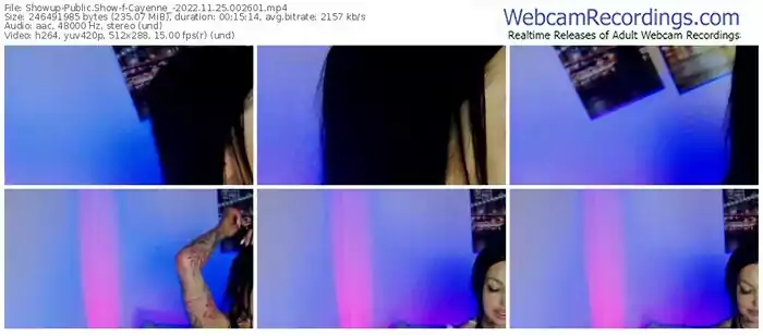 2022/11/25/showup-cayenne_-00-26-01