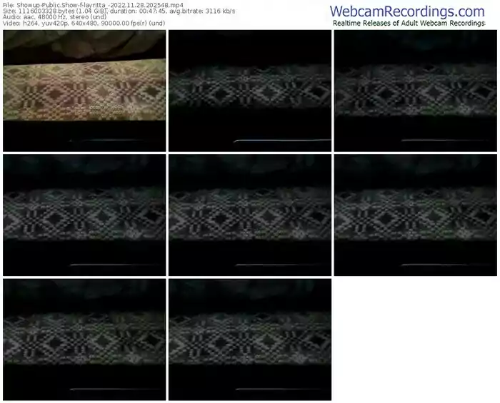 2022/11/28/showup-layritta_-20-25-48