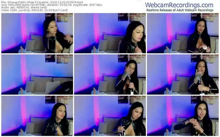 2022/12/02/showup-cayenne_-01-54-24