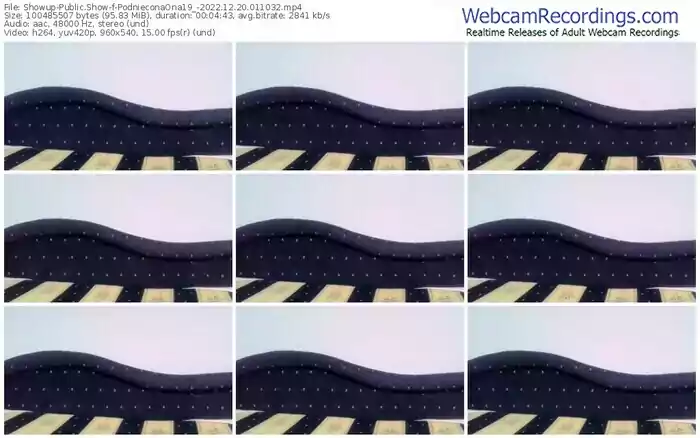 2022/12/20/showup-podnieconaona19_-01-10-32