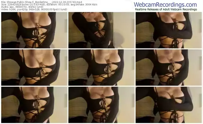 2022/12/30/showup-_borderline___-21-57-43