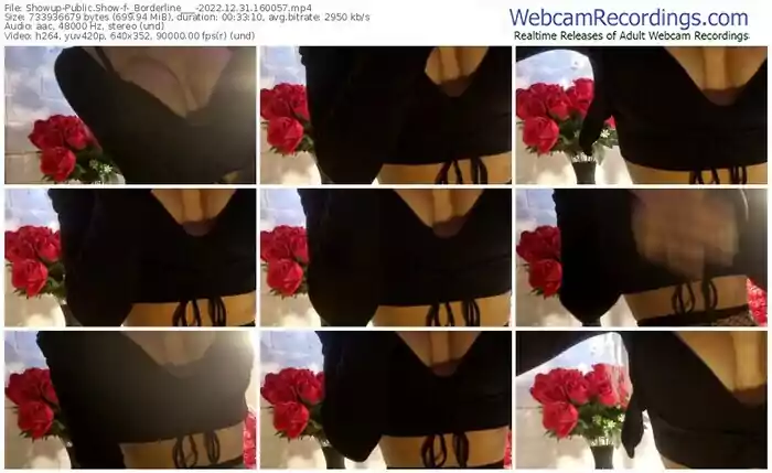 2022/12/31/showup-_borderline___-16-00-57