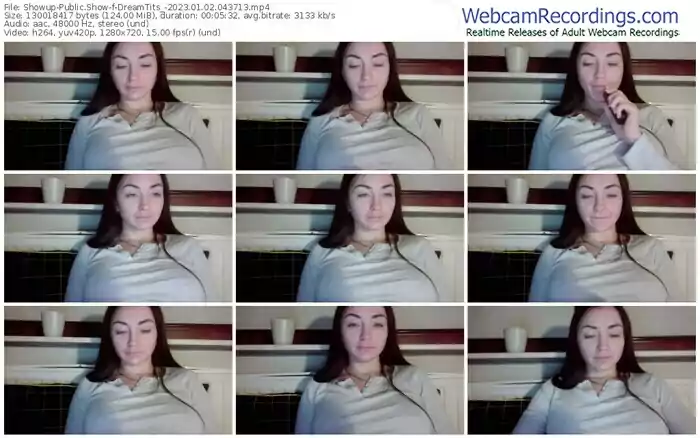 2023/01/02/showup-dreamtits_-04-37-13