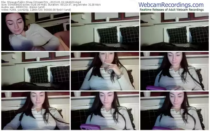 2023/01/02/showup-dreamtits_-04-46-20