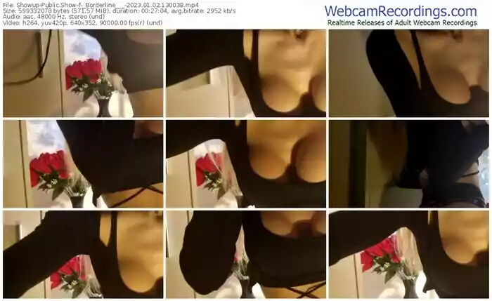 2023/01/02/showup-_borderline___-13-00-38