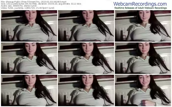 2023/01/03/showup-dreamtits_-04-18-03