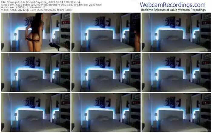 2023/01/04/showup-cayenne_-23-01-39