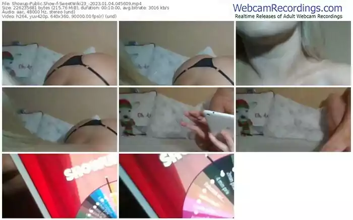 2023/01/04/showup-sweetwiki23_-04-56-09