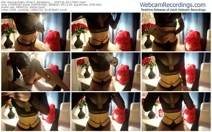 2023/01/05/showup-_borderline___-17-38-27