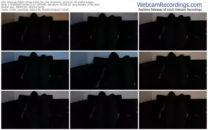 2023/01/05/showup-live_for_the_moment_-19-40-16