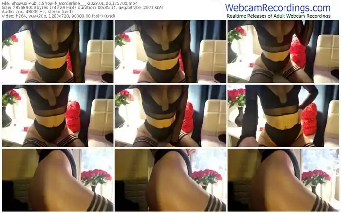 2023/01/06/showup-_borderline___-17-57-00