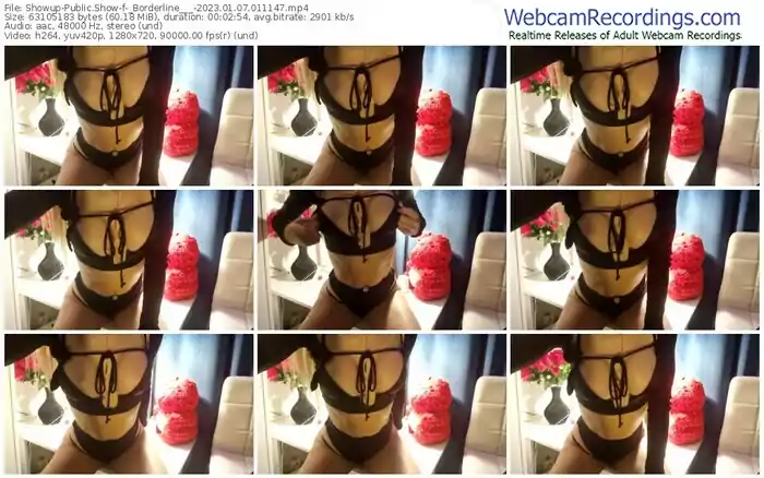 2023/01/07/showup-_borderline___-01-11-47