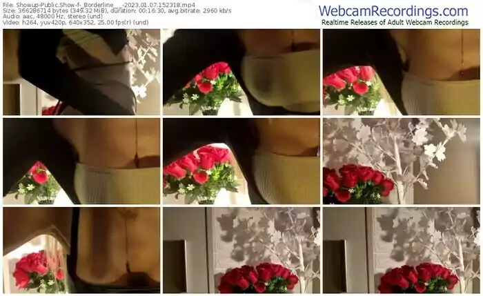 2023/01/07/showup-_borderline___-15-23-18