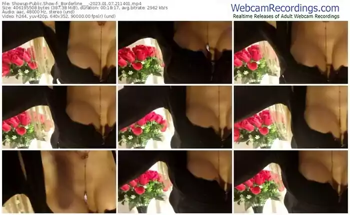 2023/01/07/showup-_borderline___-21-14-01