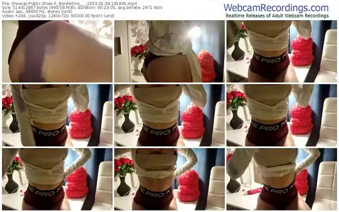 2023/01/08/showup-_borderline___-18-18-45