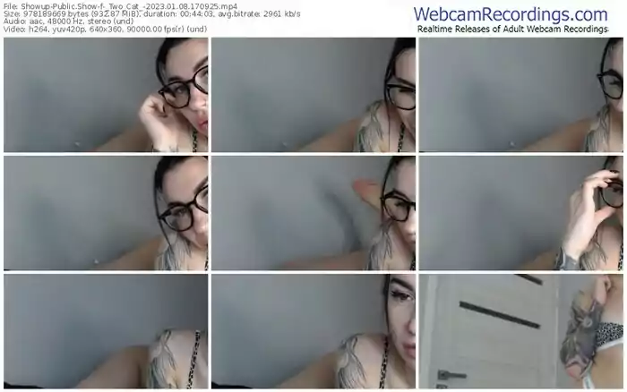 2023/01/08/showup-_two_cat_-17-09-25