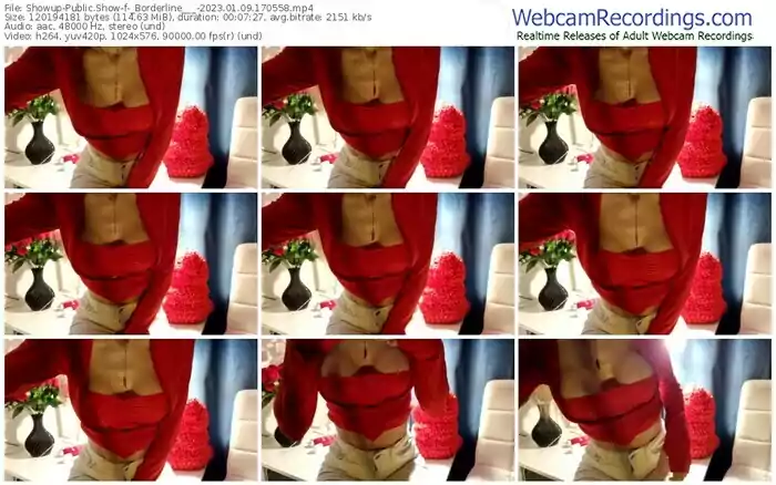 2023/01/09/showup-_borderline___-17-05-58