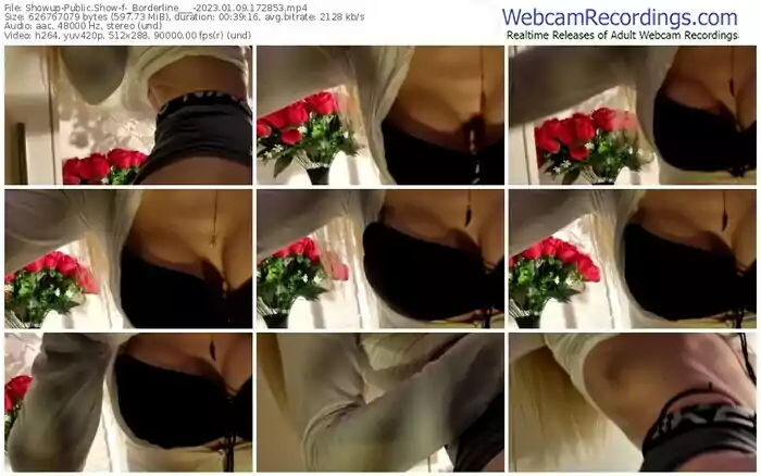 2023/01/09/showup-_borderline___-17-28-53