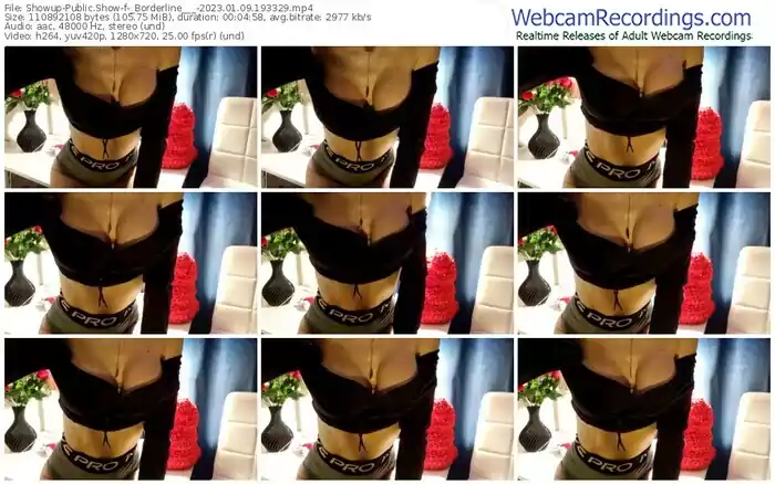 2023/01/09/showup-_borderline___-19-33-29