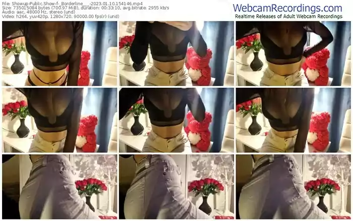 2023/01/10/showup-_borderline___-15-41-46