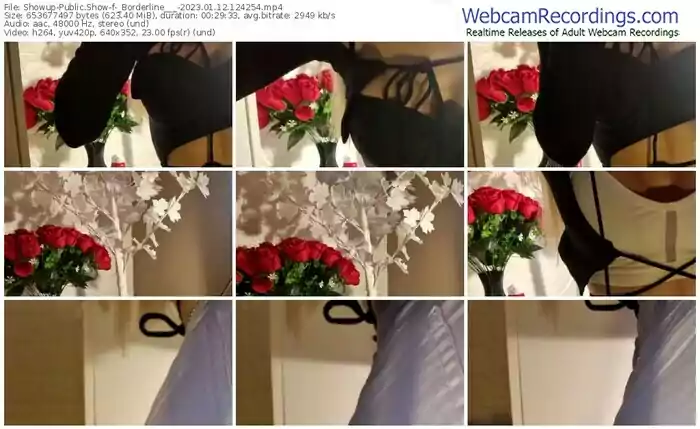 2023/01/12/showup-_borderline___-12-42-54