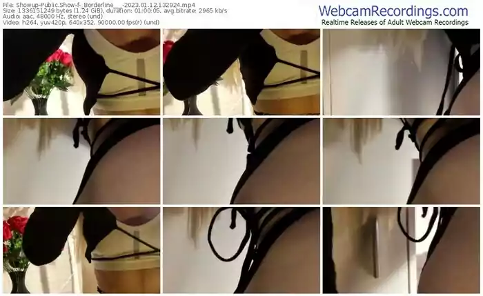 2023/01/12/showup-_borderline___-13-29-24