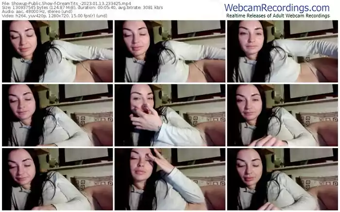 2023/01/13/showup-dreamtits_-23-34-25