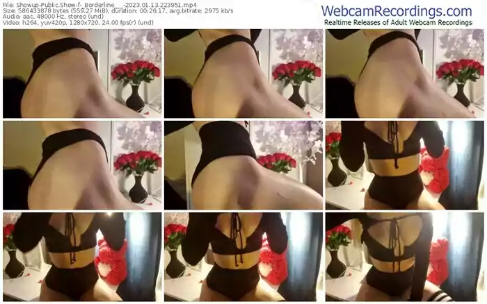 2023/01/13/showup-_borderline___-22-39-51