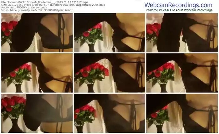 2023/01/13/showup-_borderline___-23-13-17