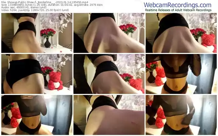 2023/01/14/showup-_borderline___-19-56-50