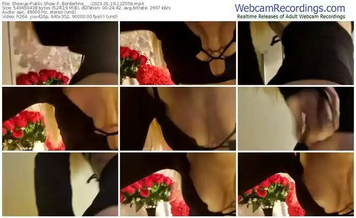 2023/01/16/showup-_borderline___-12-25-59