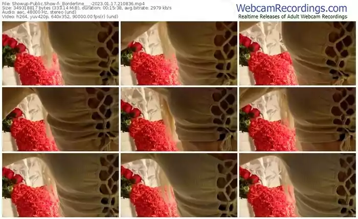 2023/01/17/showup-_borderline___-21-08-36