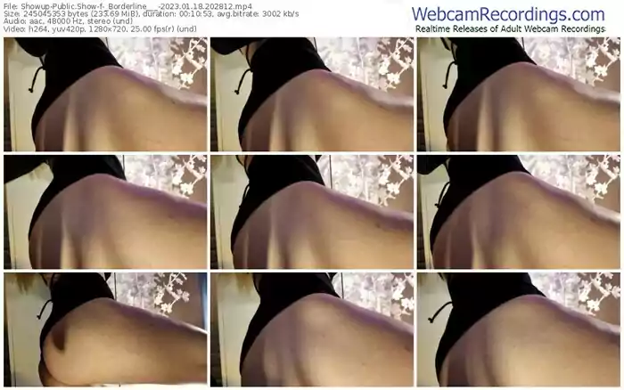 2023/01/18/showup-_borderline___-20-28-12
