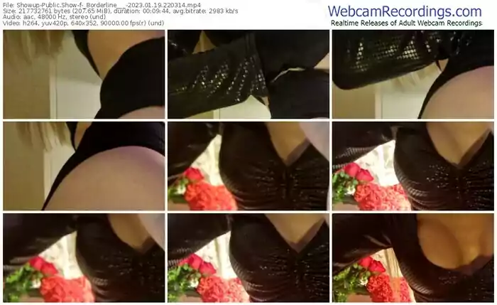 2023/01/19/showup-_borderline___-22-03-14