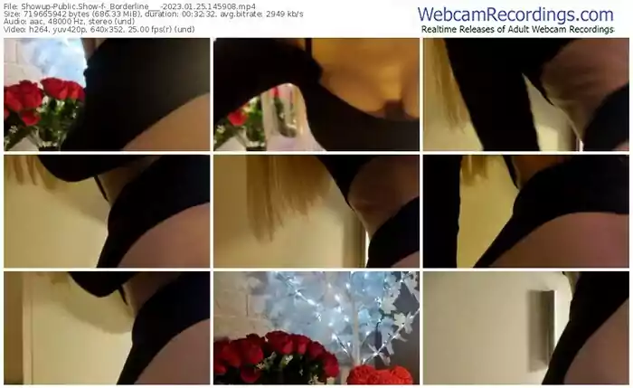 2023/01/25/showup-_borderline___-14-59-08