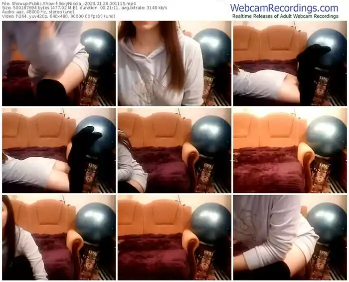 2023/01/26/showup-sexynikola_-00-11-15
