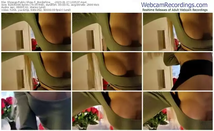 2023/01/27/showup-_borderline___-10-35-37