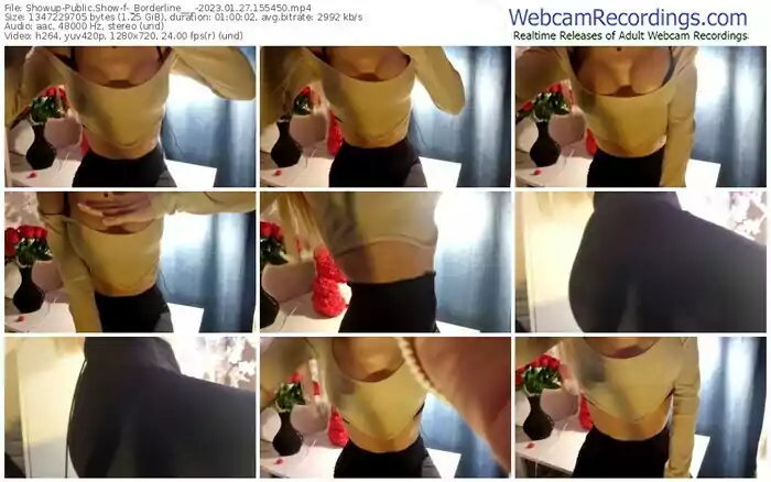 2023/01/27/showup-_borderline___-15-54-50