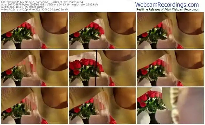 2023/01/27/showup-_borderline___-16-54-55